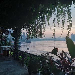 性少妇Ⅴj小eOSe×ffee
